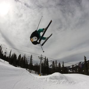 Meet your Posher, Max